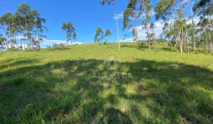 Terreno à venda, 85000 m² por R$ 5.400.000,00 - Gasparinho - Gaspar/SC