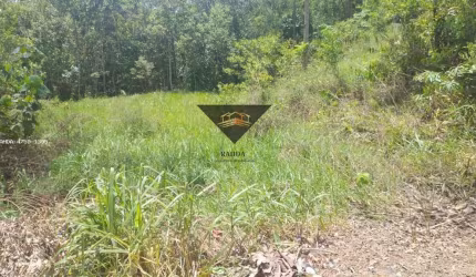 Terreno para Venda em Suzano, Vila Ipelândia