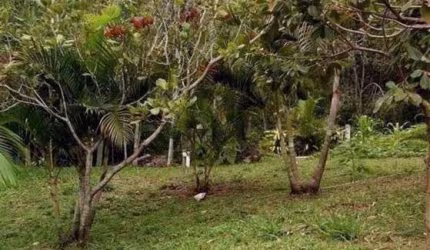 Terreno à venda, 5628.00 m2 por R$750000.00  - Vargem Pequena - Florianopolis/SC