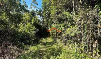 Terreno à venda, 24000 m² por R$ 960.000,00 - Brilhante I - Itajaí/SC