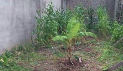 Terreno à venda, 125 m² por R$ 135.000,00 - Lavras - Guarulhos/SP