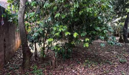 Terreno à venda, 232 m² por R$ 446.000,00 - Jardim Rosa de Franca - Guarulhos/SP