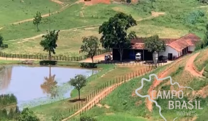 MARAVILHOSA FAZENDA 96 ALQUEIRES EM LORENA !