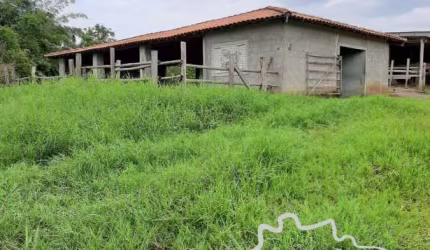 SÍTIO EM CAÇAPAVA 5 ALQUEIRES COM ÓTIMA TOPOGRAFIA!