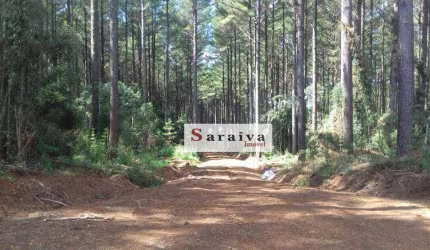 Fazenda à venda, 45770000 m² por R$ 750.000.000,00 - Área Rural de Avaré - Avaré/SP