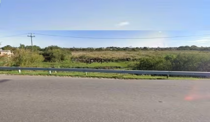Terreno, 57200 m² - venda por R$ 9.000.000,00 ou aluguel por R$ 8.000,00/mês - F