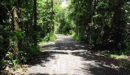 Venda - Chácara - Parque São Jerônimo - Americana - SP
