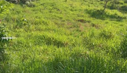 Fazenda para Venda em São Félix do Xingu