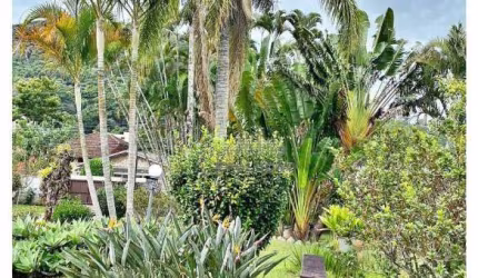 Terreno 13.200 m² em Sambaqui - Florianópolis SC