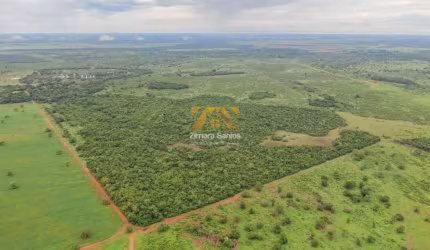 Fazenda, 1.089 alqueires - Centro - Pium/TO