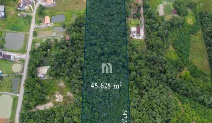 Sítio / Chácara para Venda em Joinville, Vila Nova