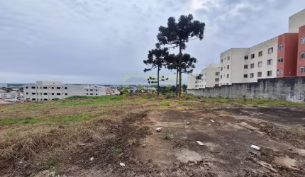 Terreno à venda Jardim Amélia Pinhais/PR