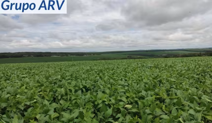 Fazenda com 145 alqueires em Itapetininga SP