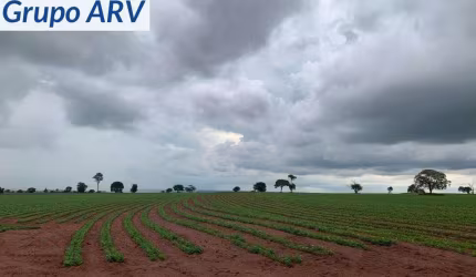 Fazenda com 1.000 alqueires em Ourinhos SP