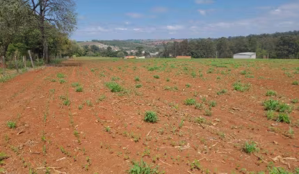 Terreno à venda, 175 m² por R$ 75.000,00 - Capoavinha - Votorantim/SP