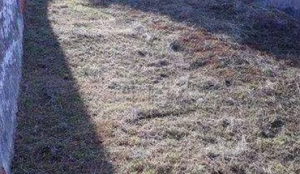 Terreno à venda, 250 m² por R$ 260.000,00 - Jardim Prestes de Barros - Sorocaba/SP