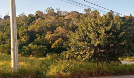 Terreno à venda, 185 m² por R$ 110.000,00 - Colina Santa Mônica - Votorantim/SP