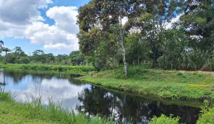 área rural com 28.000 m² na Colônia Pereira - Matinhos - Pr.