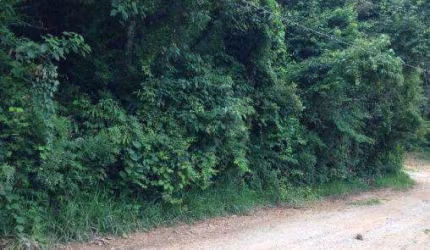 Terreno em condomínio fechado à venda na Rua Puma, Loteamento Bosque dos Palmares, Atibaia, 700 m2 por R$ 68.000