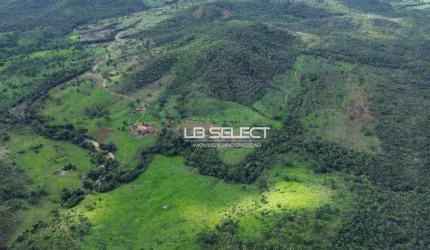 Fazenda na região de Minaçu com 211 Alqueires.