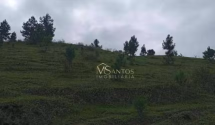 Fazenda à venda, 218000 m² por R$ 990.000,00 - Taquaraçutuba - Imaruí/SC