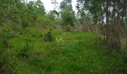 Sítio à venda, 150000 m² por R$ 650.000,00 - Taquaraçutuba - Imaruí/SC