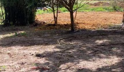 Terreno à venda, 5000 m² por R$ 950.000,00 - Ratones - Florianópolis/SC