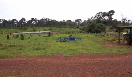 Fazenda à venda, 14520000 m² por R$ 18.200.000,00 - São Francisco - Óbidos/PA