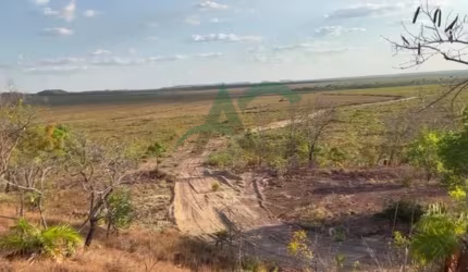 VENDO FAZENDA em Goiatins no TOCANTINS com 9.950 hectares