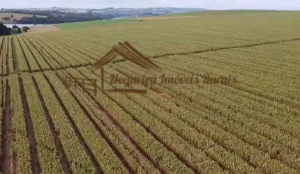 Fazenda para Venda em Avaré, Área Rural de Avaré
