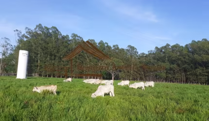 Sítio para Venda em Terenos, Área rural