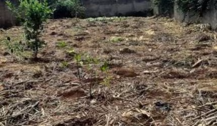 Terreno para Venda em Uberlândia, Cidade Jardim