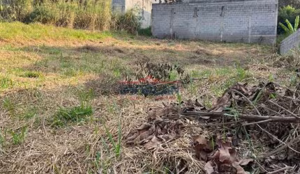 Terreno à venda - Bosque dos Eucaliptos