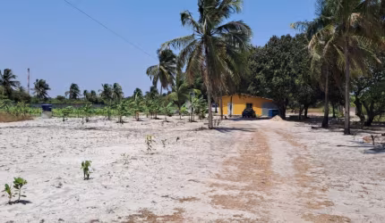 Sitio com Casa á Venda na Parada a 3km do Pecém em São Gonçalo do Amarante