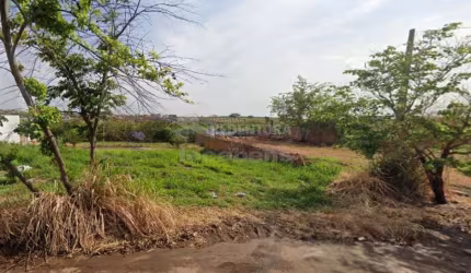 Terreno Padrão em Bady Bassitt