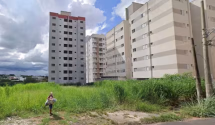 Higienopolis - Área em rua RESIDENCIAL e comercial 990 m² ótimo para comércios em geral