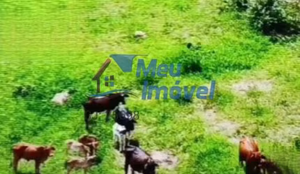 Sítio Luziânia 5 Quartos 1 2 Banheiros Vaga 5.5 Alqueires Pomar Galinheiro