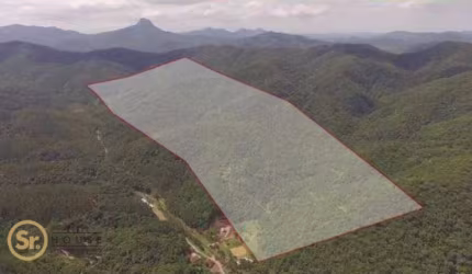Area para compensação de carbono