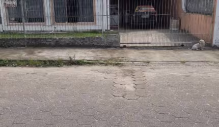 Casa à venda com 4 quartos 1 suíte, 180m² em Caminho Novo Palhoça