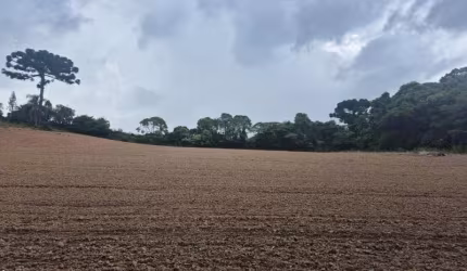 ****ÁREA NO IPIRANGA***