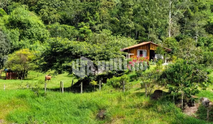 Chácara / sítio com 4 quartos à venda no Moura, Canelinha , 80 m2 por R$ 870.000