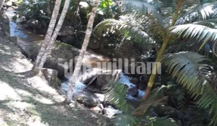 Chácara / sítio à venda no Cedro Alto, Brusque  por R$ 400.000