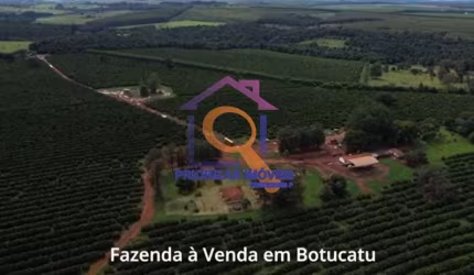 FAZENDA DE LARANJA COM 623 HA EM BOTUCATU -SP
