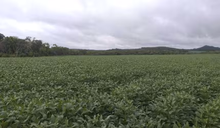 Fazenda em Paranatinga-MT