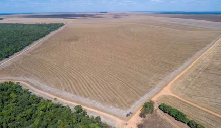 Fazenda Dupla Aptidão em Campo Novo do Parecis-MT!