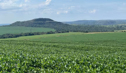 Fazenda excepcional entre Cristalina-GO e Paracatu-MG