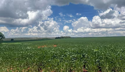 Fazenda de 1.714 hectares em Ocidental-GO próxima a Luziânia