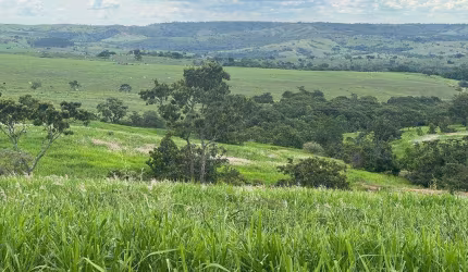 Ótima fazenda no município de Campo alegre-GO