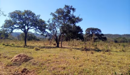 Fazenda à venda, AREA RURAL MARZAGAO - GO - Marzagão/GO