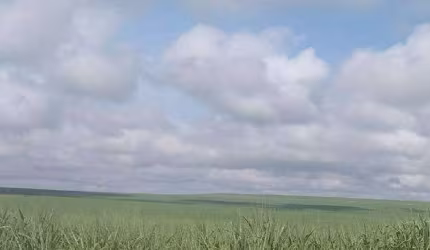 Fazenda à venda, Área Rural de Mineiros - MINEIROS/GO